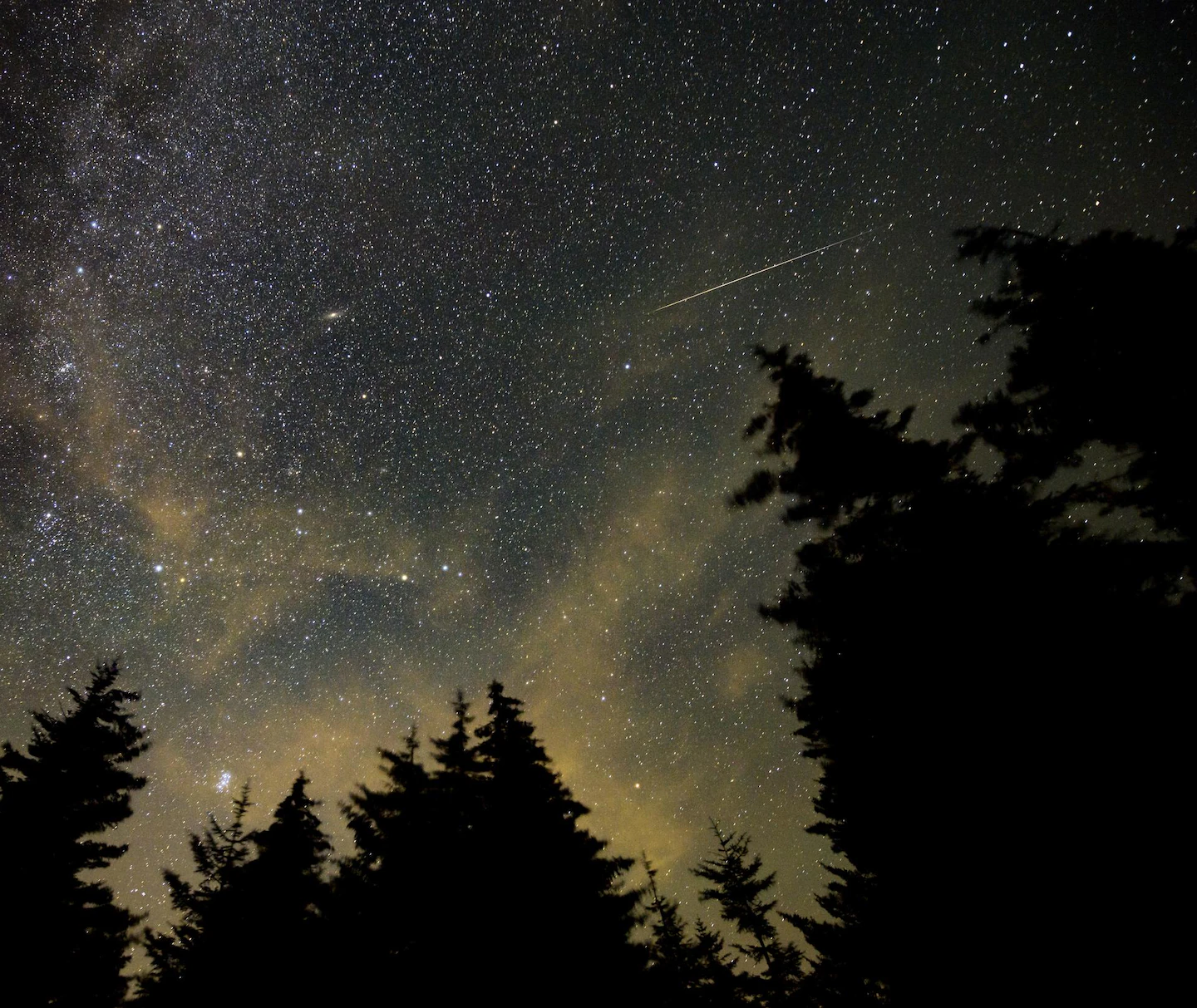 Featured image for Perseid Meteor Shower Peak: Best Viewing Tips Amid Moonlight