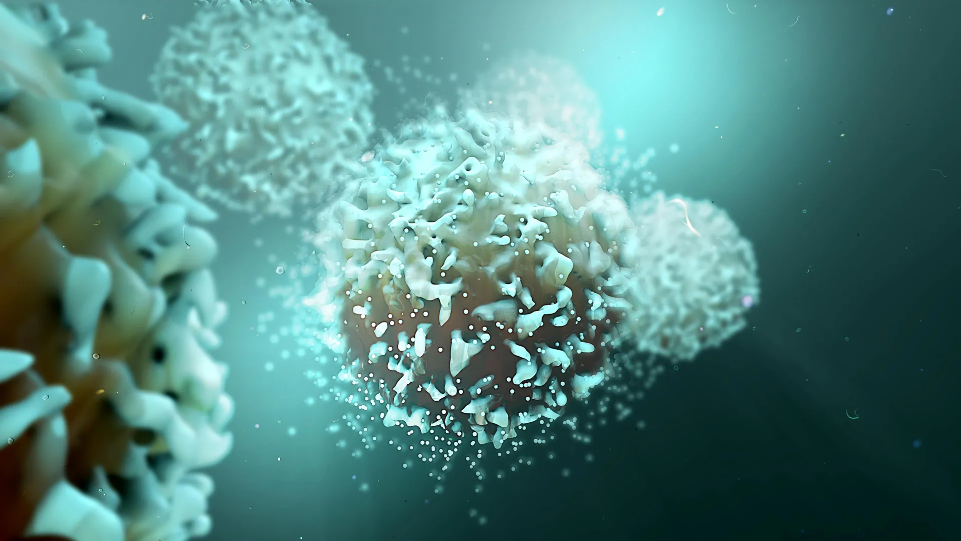 Blocking Protein Boosts Immune Attack on Cancer