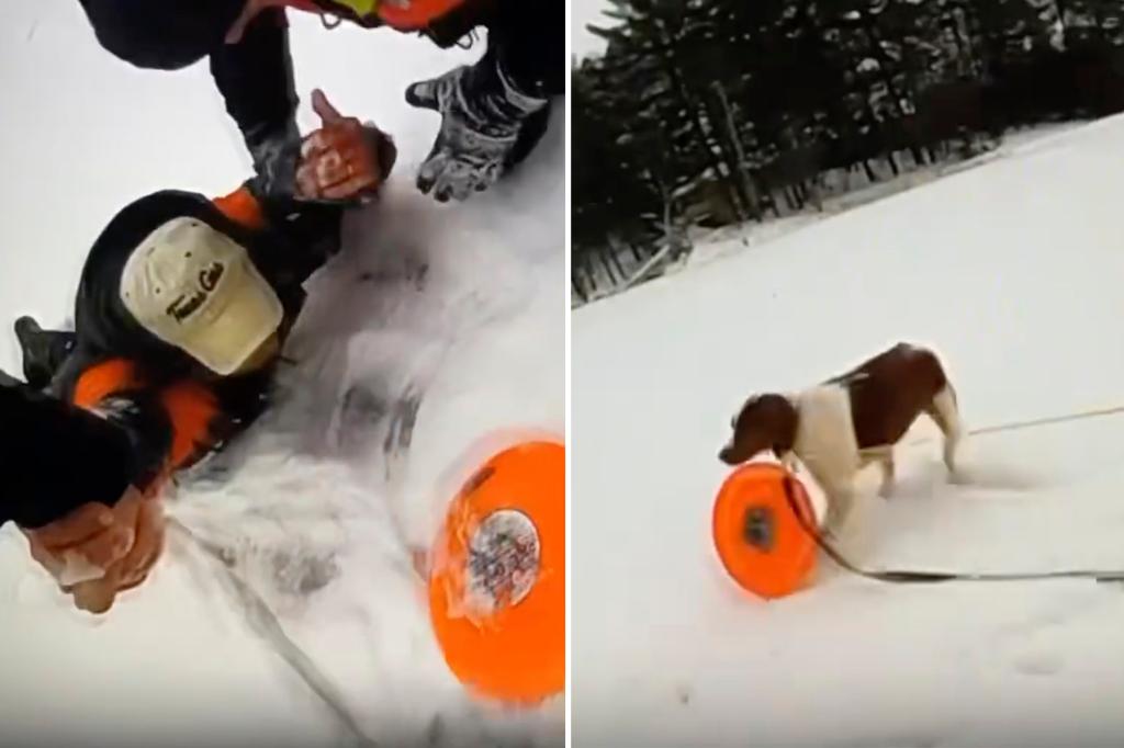 Featured image for "Heroic Dog Saves Owner from Icy Michigan Lake"