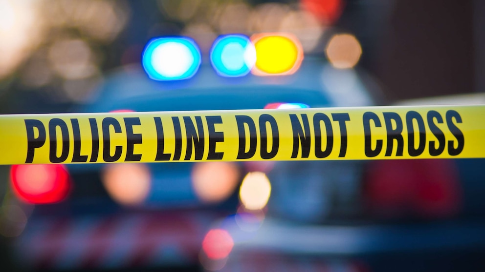 Security Breach at South Carolina Nuclear Plant as Car Smashes Through Fences