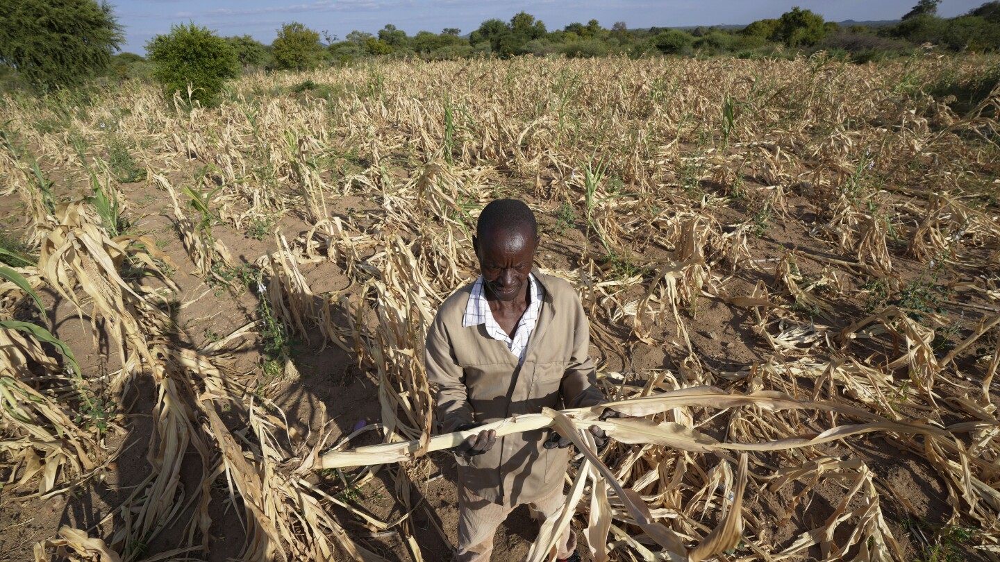 Featured image for "Devastating Drought in Southern Africa Leaves Millions Hungry"