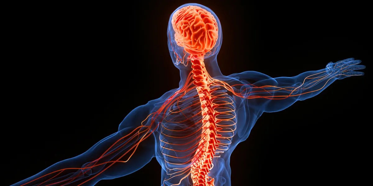 Featured image for "Neurological Conditions Identified as Top Global Health Concern"