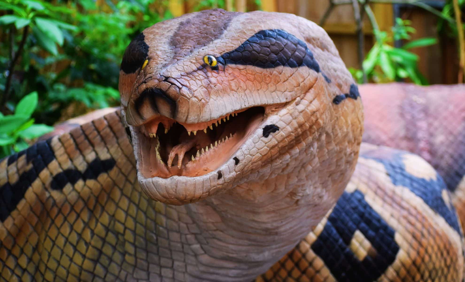 Scientists Uncover 50-Foot Ancient Snake, Redefining Prehistoric Reptile Size