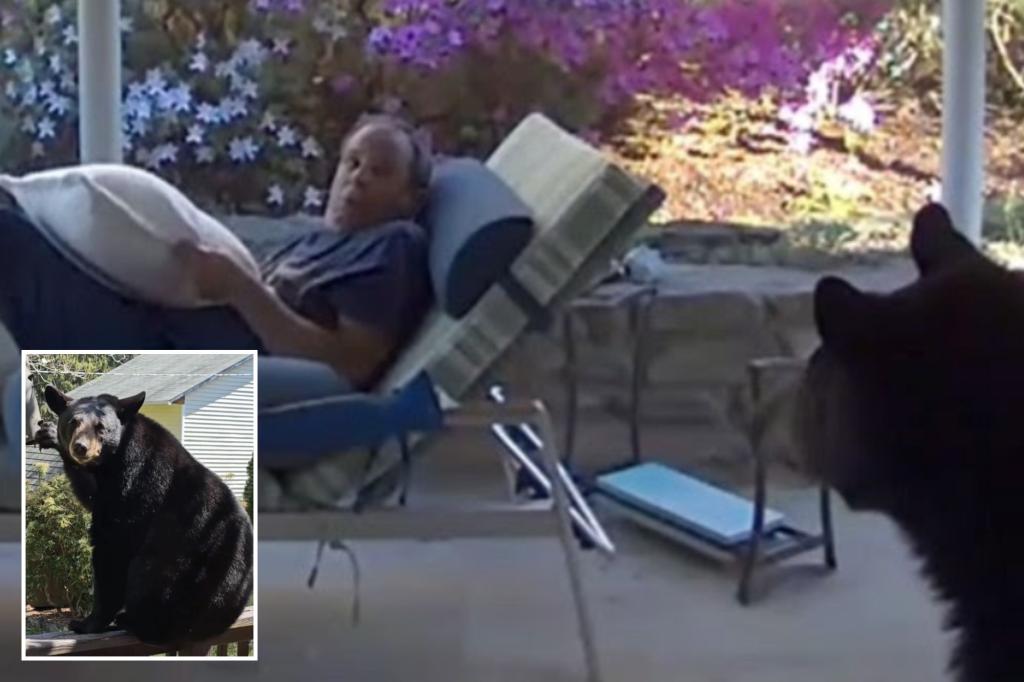 Featured image for Man and Bear Have Startling Face-to-Face Encounter in Backyard