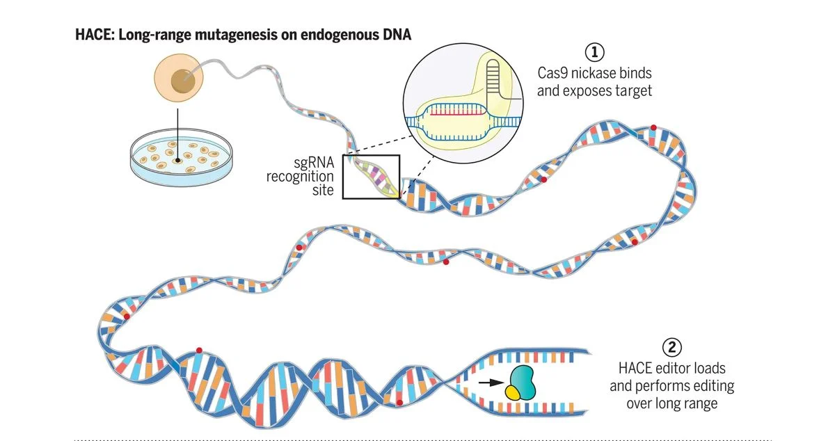 Breakthroughs in Gene-Editing and Cancer Mutation Mapping