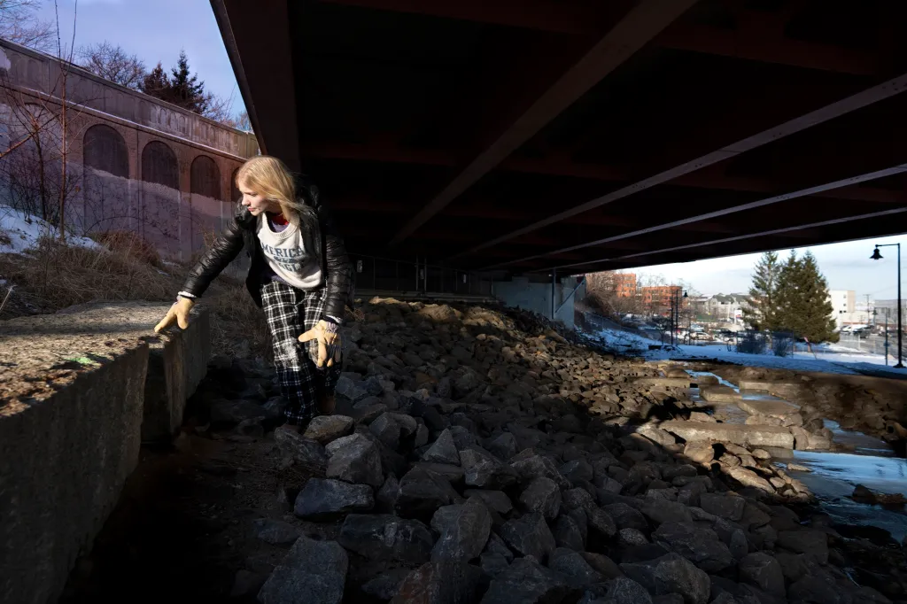"Rescuers Rally to Save Rats Overrunning Portland's Harbor View Park"
