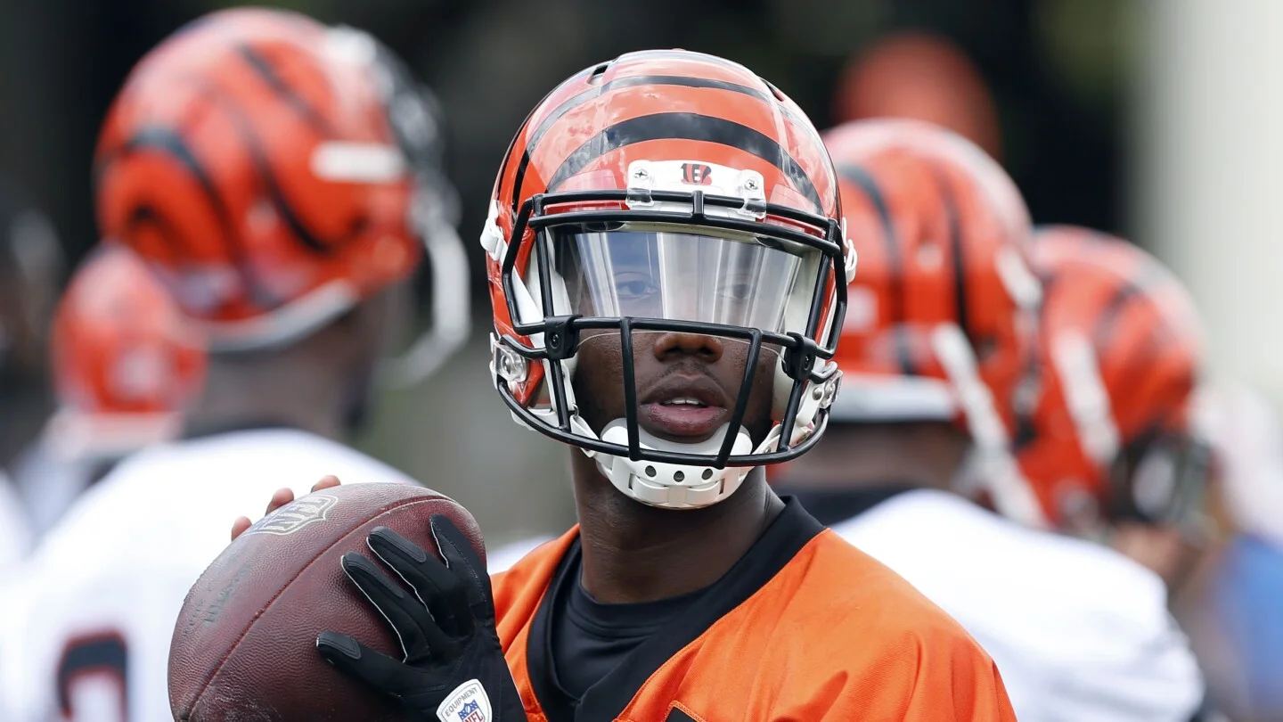 Bengals Bring Back Journeyman QB Josh Johnson for a Third Cincinnati Run