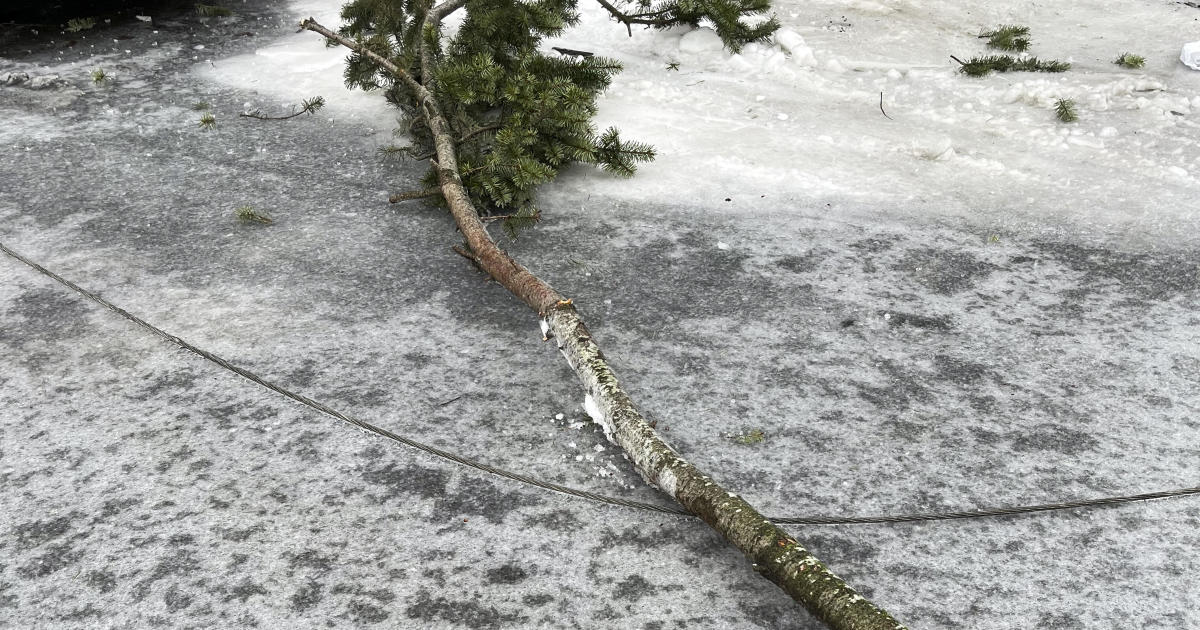 Fatal Portland Storm: 3 Killed, Baby Injured by Fallen Power Line