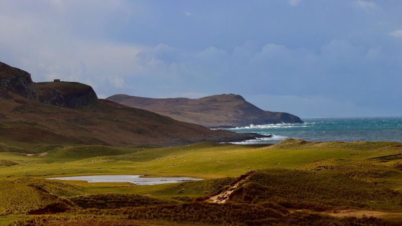 Featured image for The Billion-Dollar Industry Thriving on a Remote Island.