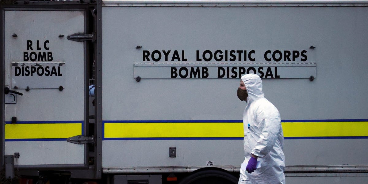 Featured image for "Surprising Discovery: Garden Ornament Reveals Live Navy Shell"