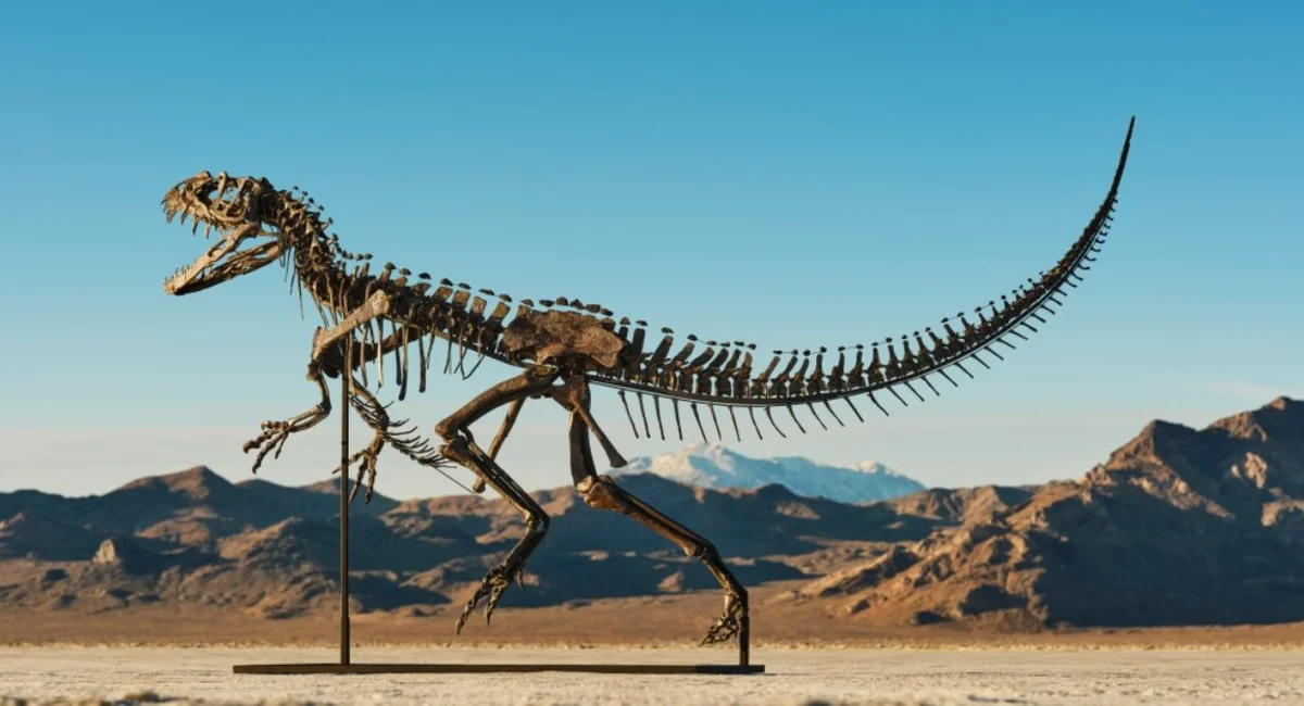 Featured image for Rare Planetary and Dinosaur Artifacts Up for Auction