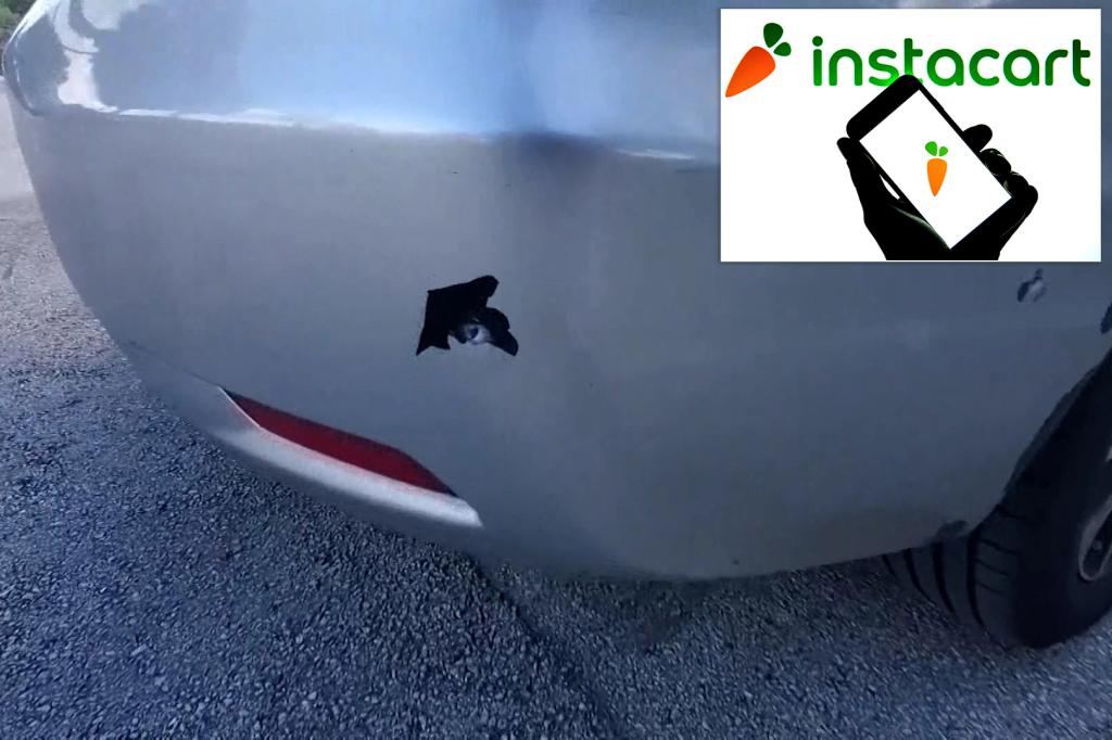 Instacart delivery workers shot at after going to wrong address in Florida.