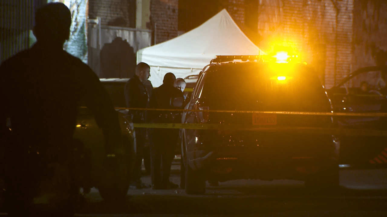 "Downtown LA New Year's Shooting: 2 Dead, Multiple Injured"