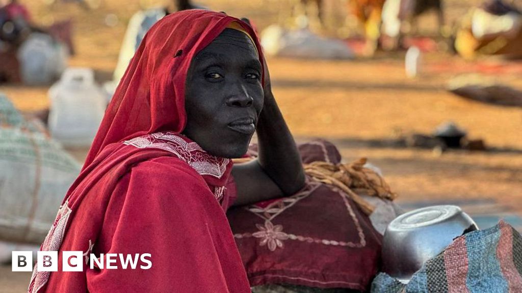 Featured image for Darfur Crisis Deepens as Mass Killings and Violence Escalate