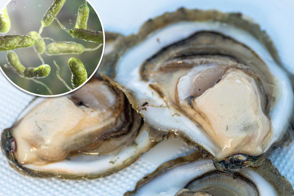 Fatal Consequences: Texas Man's Death Linked to Raw Oyster Consumption