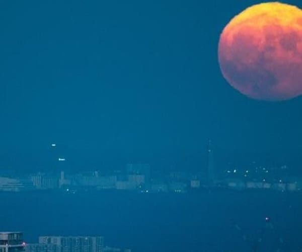"Japanese Astronaut to Join NASA for Historic Moon Landing"