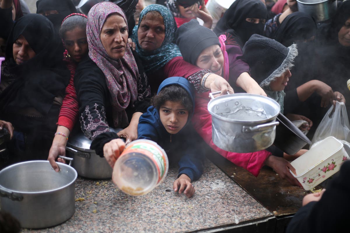 "UNRWA Funding Crisis Imperils Lives in Gaza"