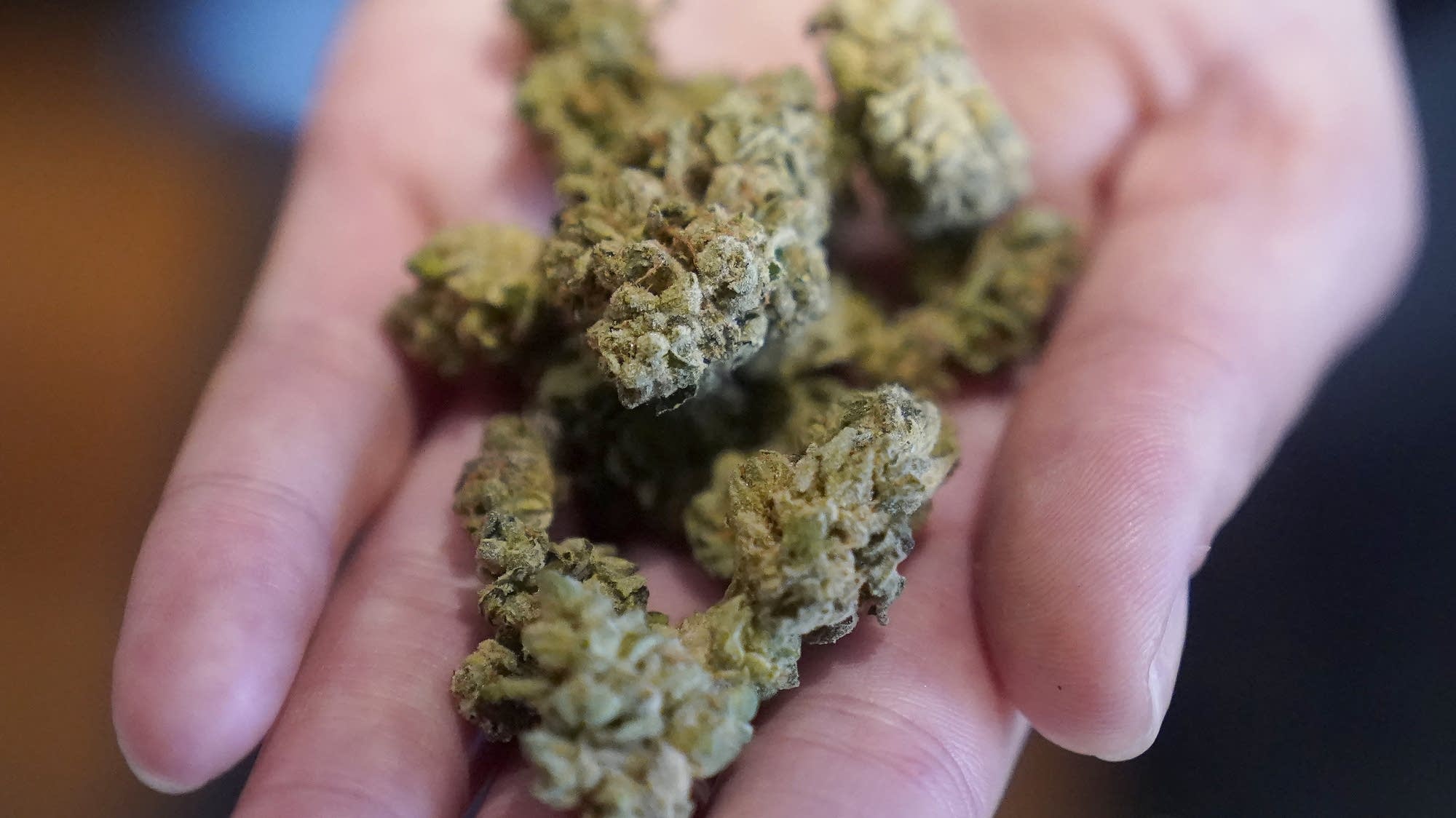 Minnesota Nears Legalization Deal for Marijuana