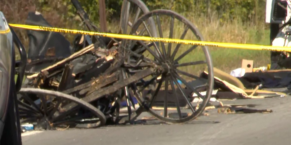 Tragic Collision: Pickup Truck Fatally Strikes Amish Buggy, Claiming Lives of Two Young Children