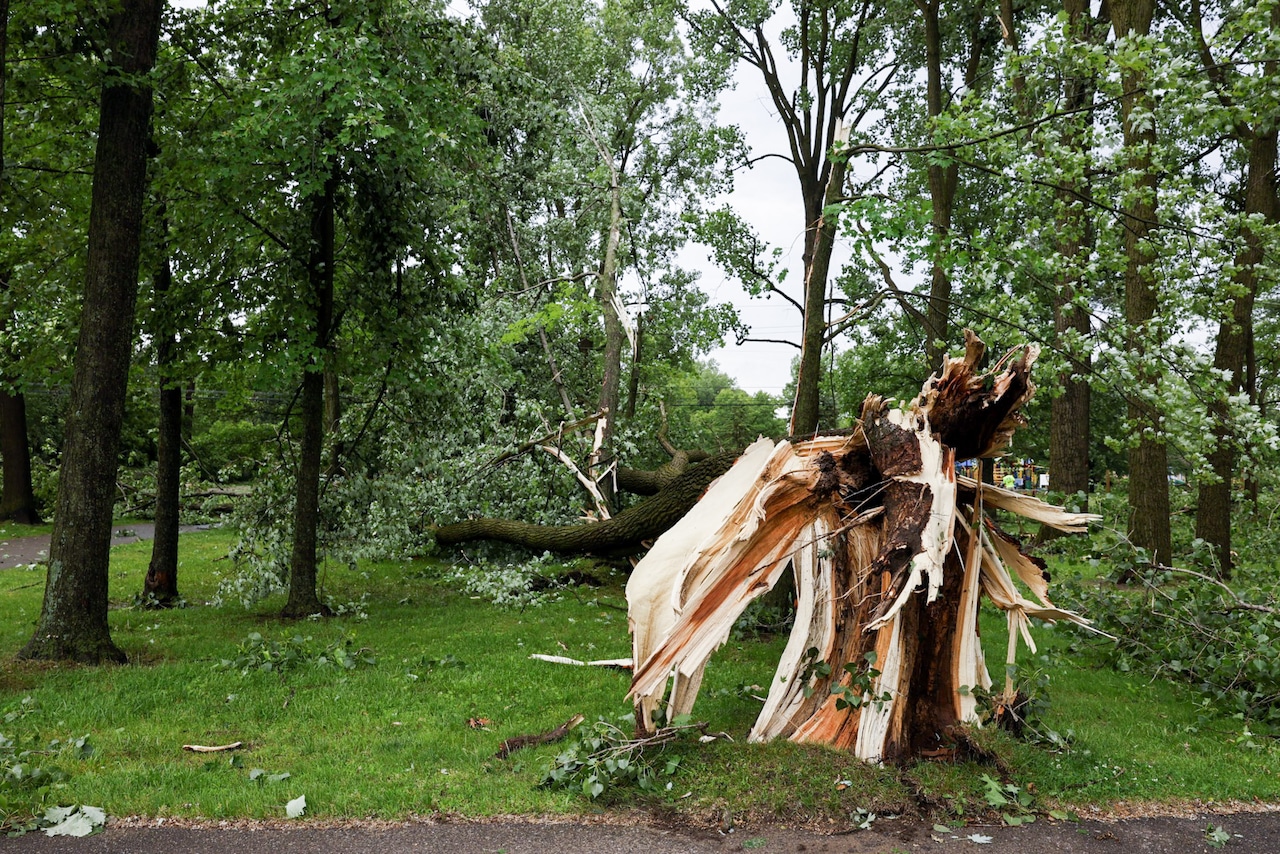 Featured image for Toddler Killed, Mother Injured as Tornadoes Ravage Michigan