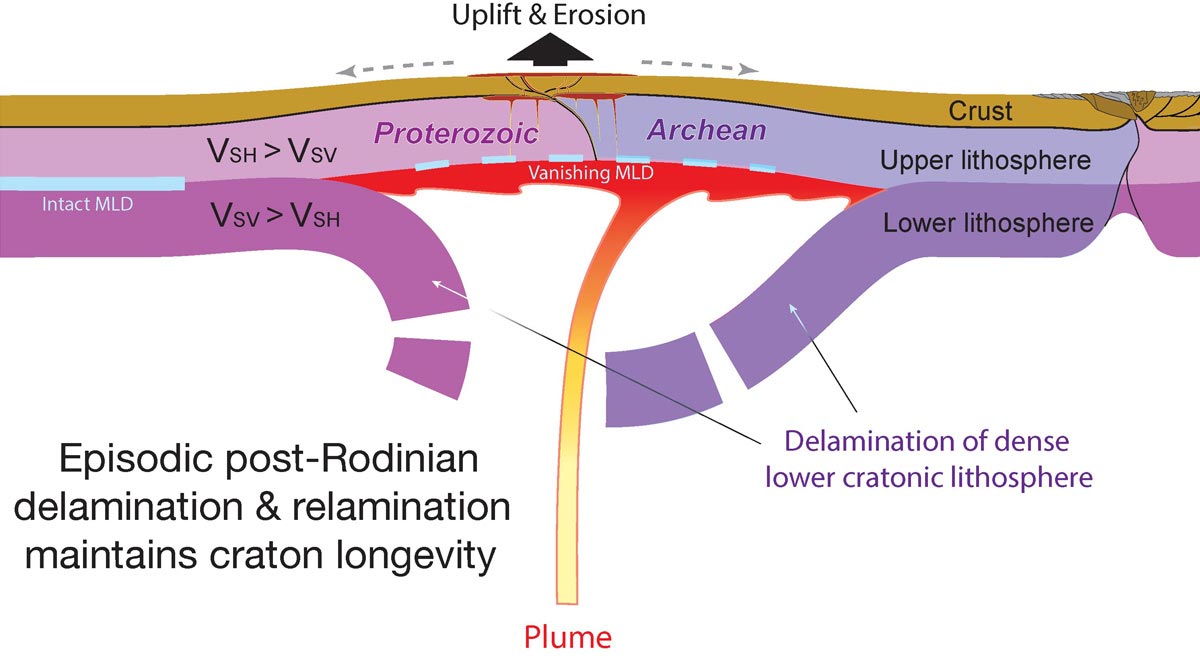 Featured image for "New Study Reveals Surprising Findings on Earth's Continental History and Deformation"