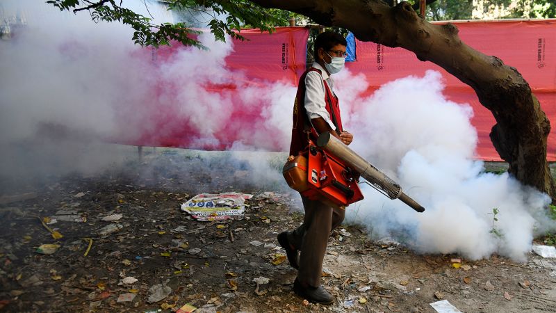 "Devastating Dengue Outbreak Claims Over 1,000 Lives in Bangladesh"