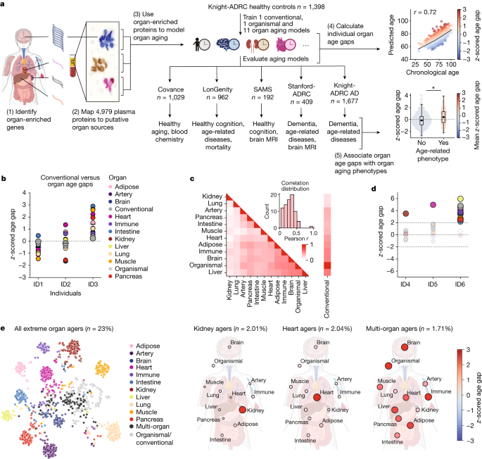 Decoding Organ Aging: Predicting Disease Risk and Failure