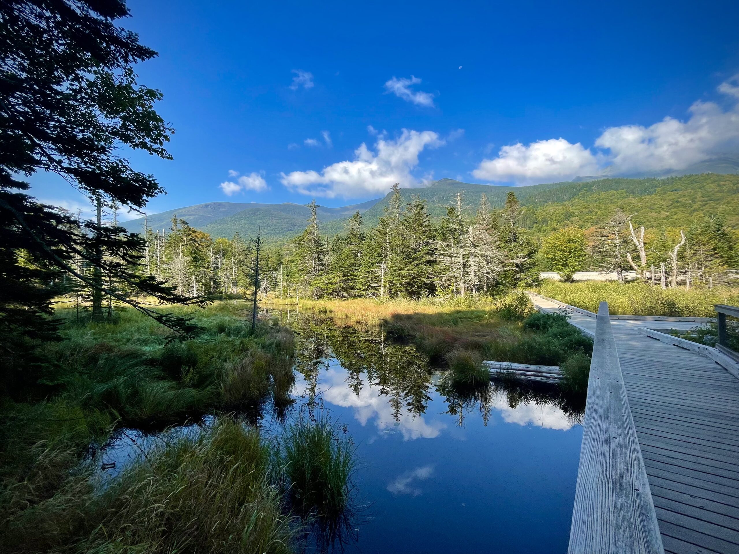 Featured image for The Temptation of Quitting: Day 143