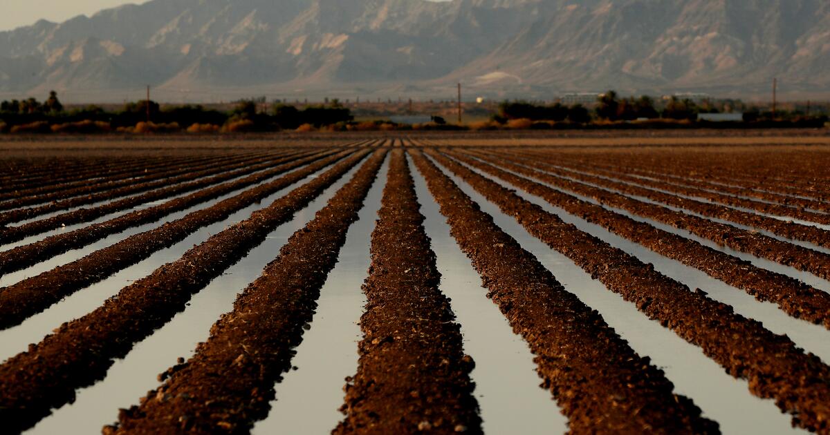 Featured image for "Colorado River's Water Allocation: Unveiling the Dominance of Agricultural Use"