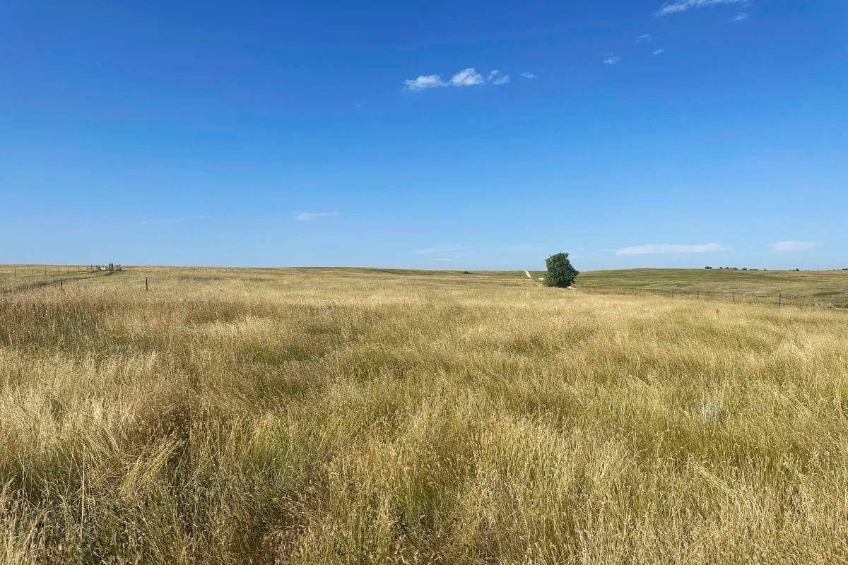 "Nonprofit Purchases 40 Acres in South Dakota's Black Hills, Led by Native Americans"