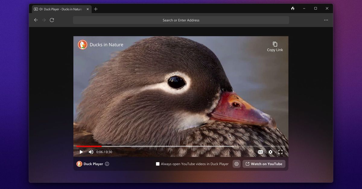 DuckDuckGo releases privacy-focused browser for Windows as public beta.