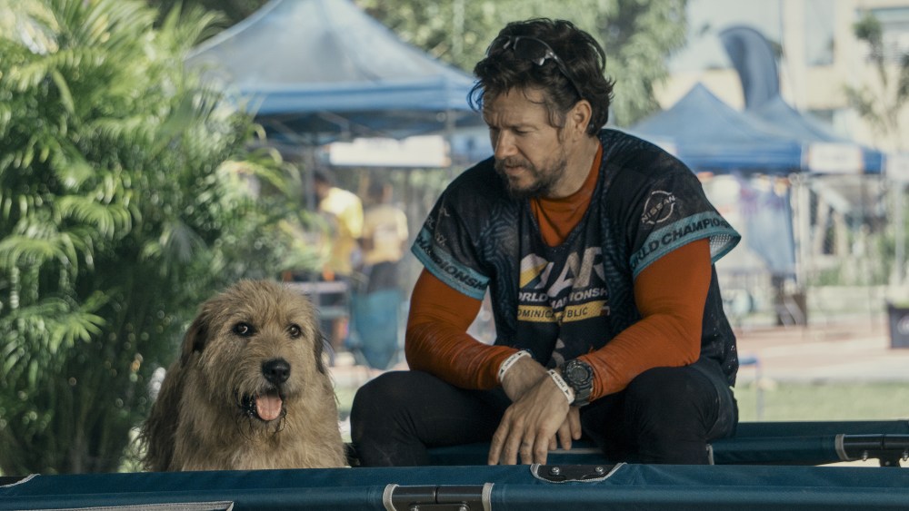 Featured image for "Mark Wahlberg's Allergic Reaction: 'Arthur the King' Battles 'Kung Fu Panda 4' at Box Office"