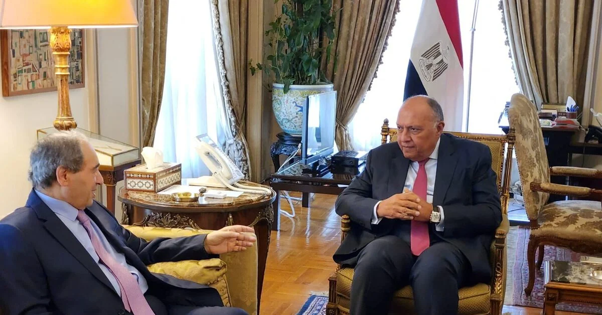 Egypt and Syria Strengthen Ties with Foreign Minister's Visit.