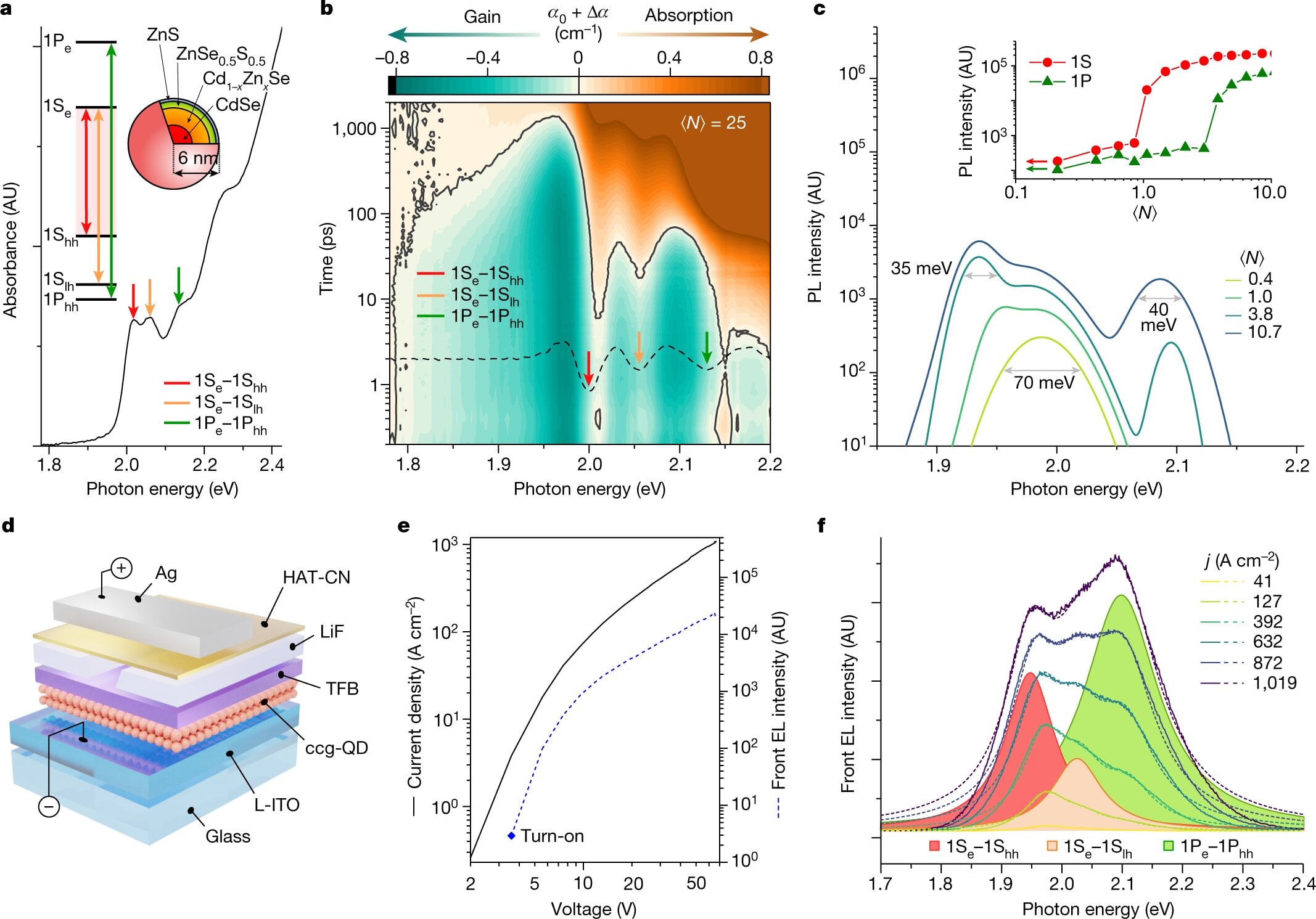 Featured image for Electrically Driven Quantum Dots Achieve Bright Light Amplification