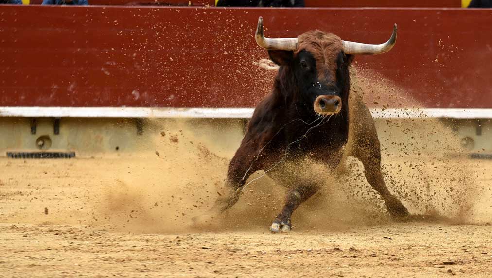 "Bulls Eye Resistance Breakthrough: 10 Stocks to Watch, Including Nvidia and AI Stock"
