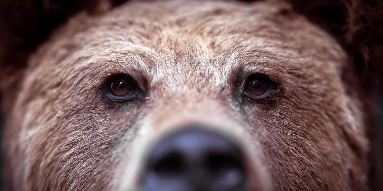 The Bleak Outlook for Bears: 2023 and Beyond.