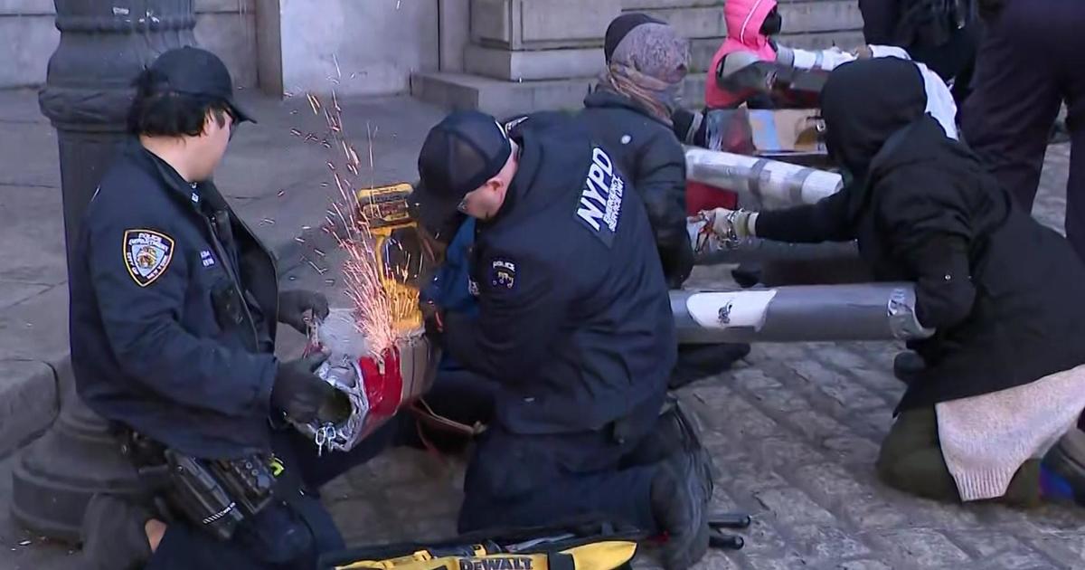 Pro-Palestinian Protesters Cause Traffic Chaos, Over 300 Arrested