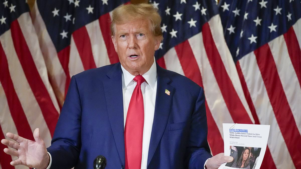 Trump Claims Legal Woes Are a Democratic Ploy to Aid Biden