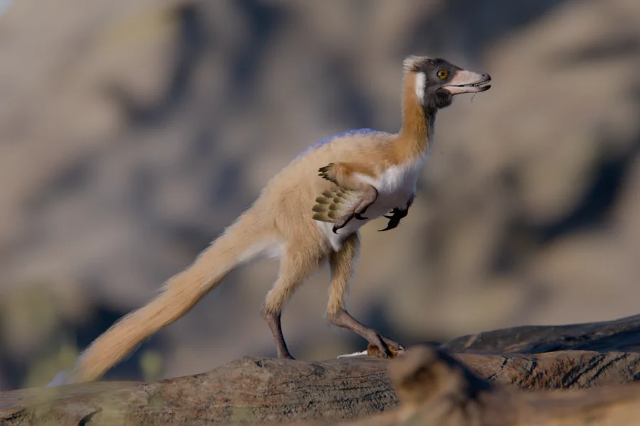 Tiny alvarezsaurid upends the dinosaur miniaturization narrative
