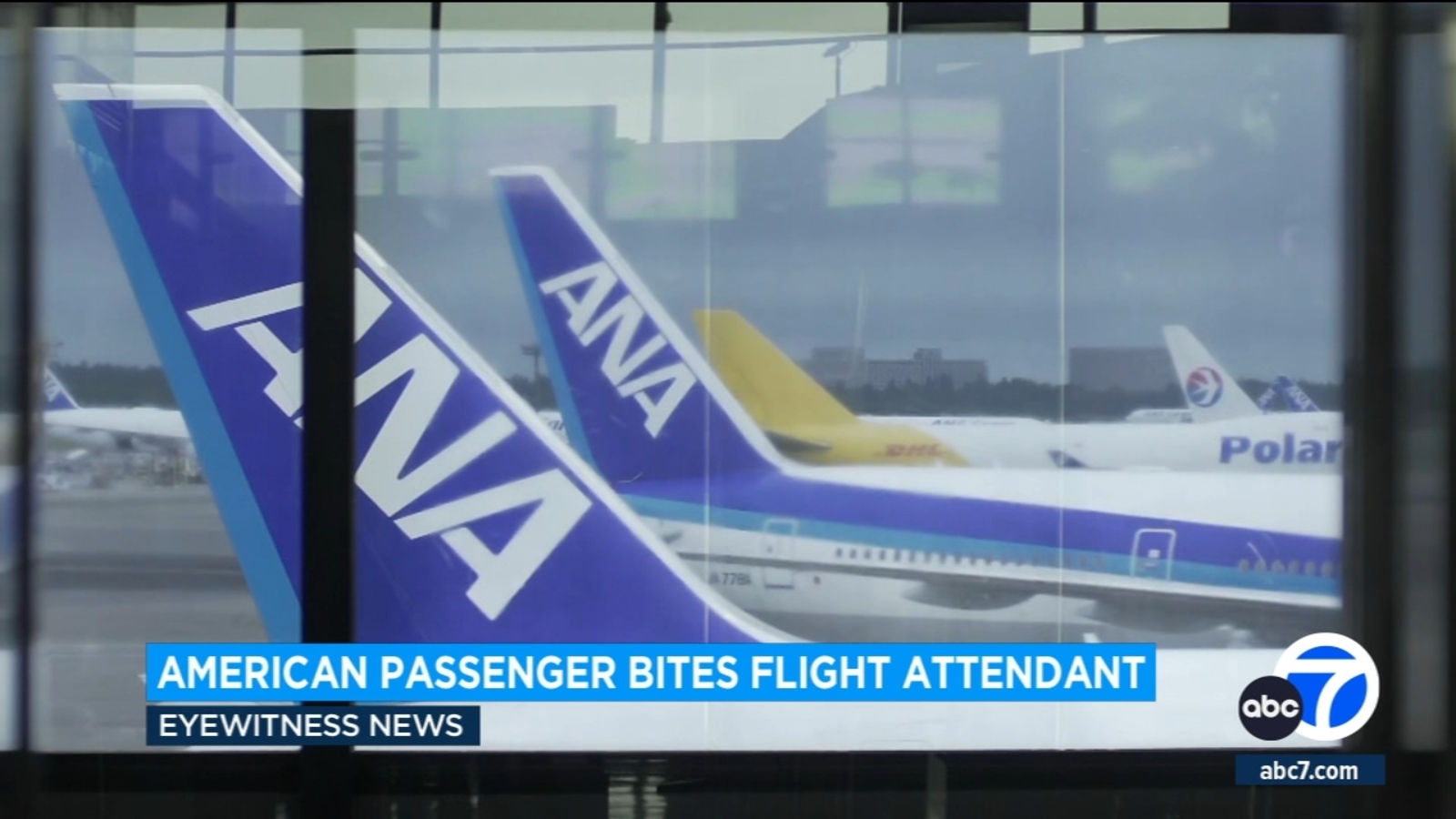 Featured image for "Unruly American Passenger Bites Flight Attendant, Forcing Tokyo Return"