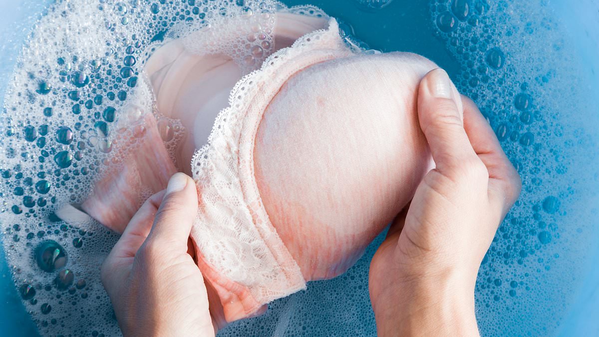 The Ultimate Guide to Washing Your Bra: Expert Tips and Best Methods