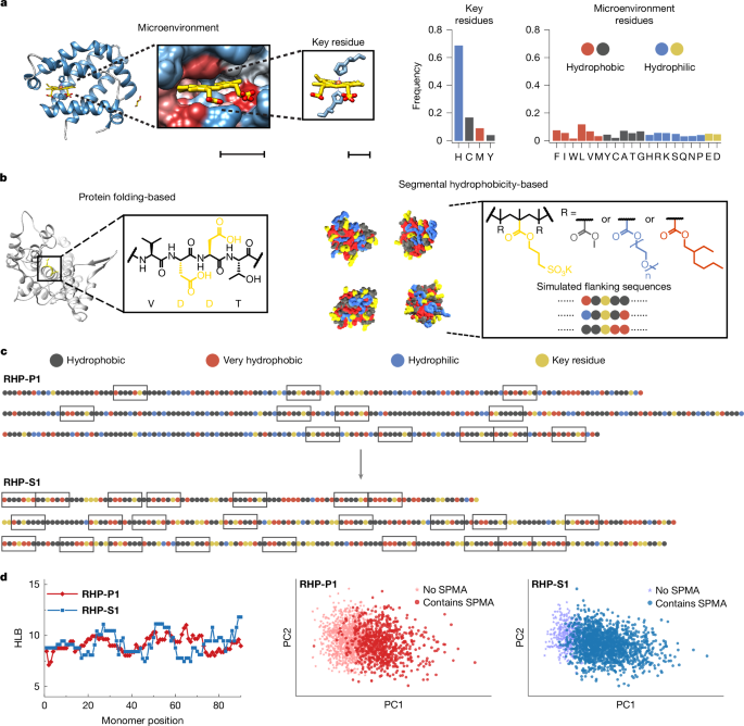 Featured image for Synthetic Heteropolymers Mimicking Enzymes