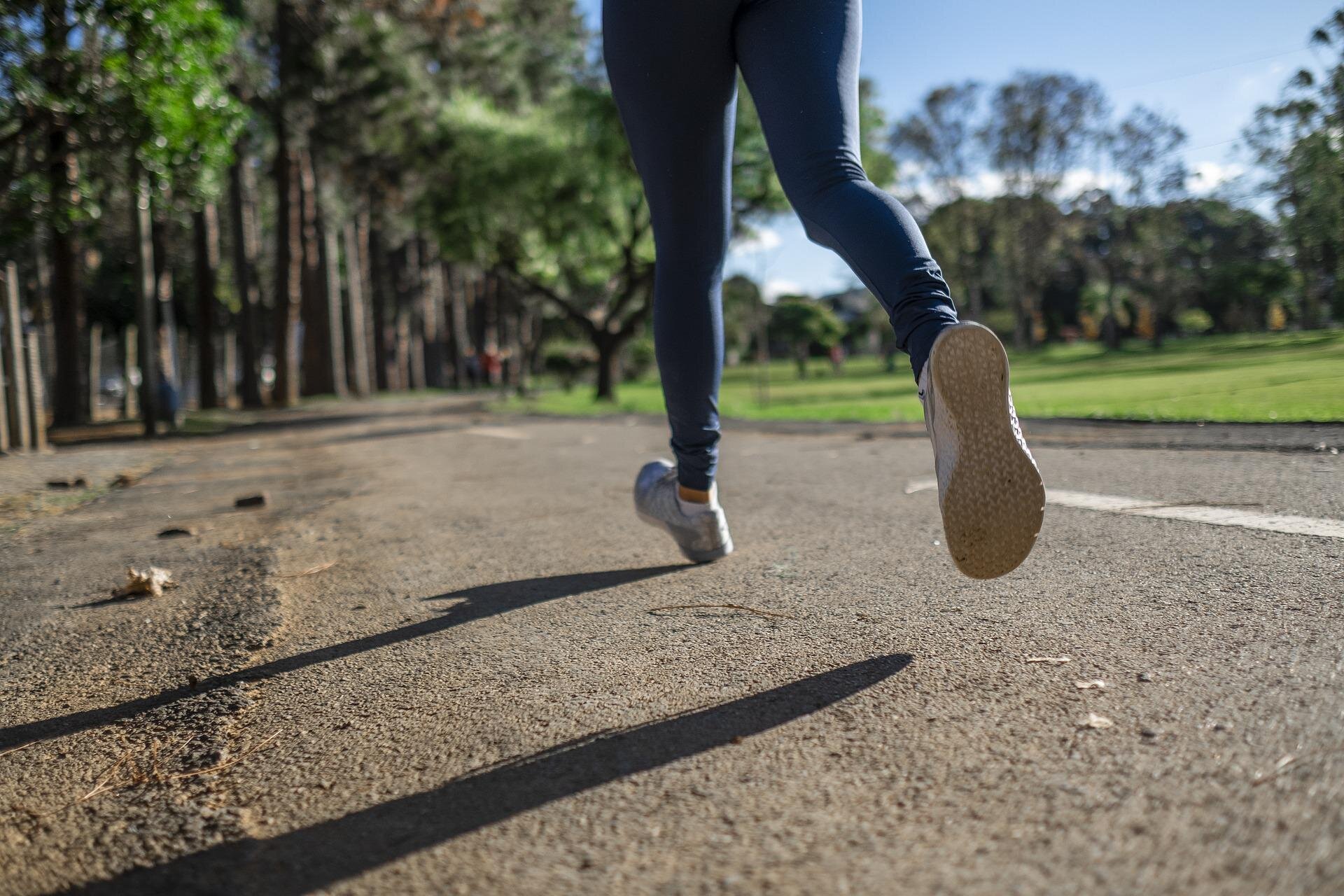 The Evolution of Human Foot Arch and Upright Locomotion.