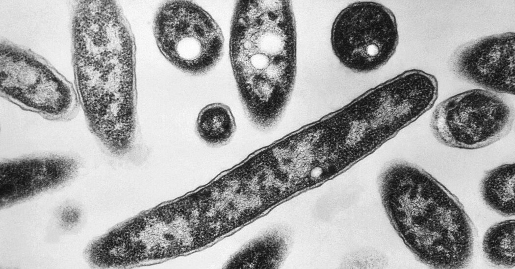 Featured image for Harlem Legionnaires’ Outbreak Causes 2 Deaths and Over 50 Illnesses