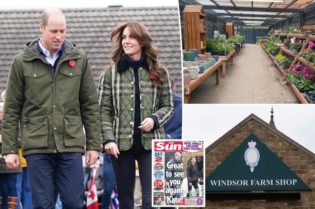 "Royal Crisis: Kate Middleton's Farm Shop Outing Raises Eyebrows Amid Hospital Records Assessment"