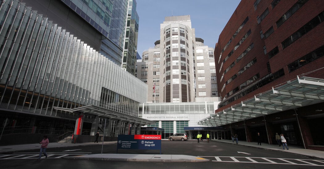 Featured image for "First-Ever Successful Pig Kidney Transplant Marks Medical Breakthrough"