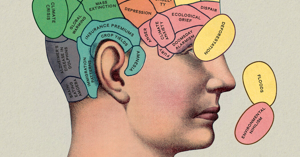 "The Weight of Nature: Climate Change's Impact on Our Mental Health"
