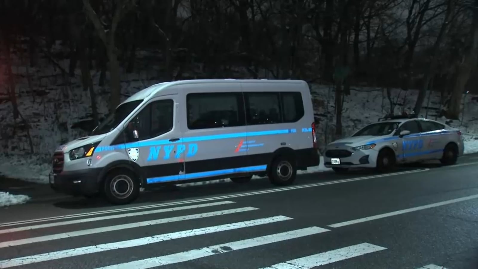 Featured image for Teen Assaulted in Central Park, Suspect in Custody