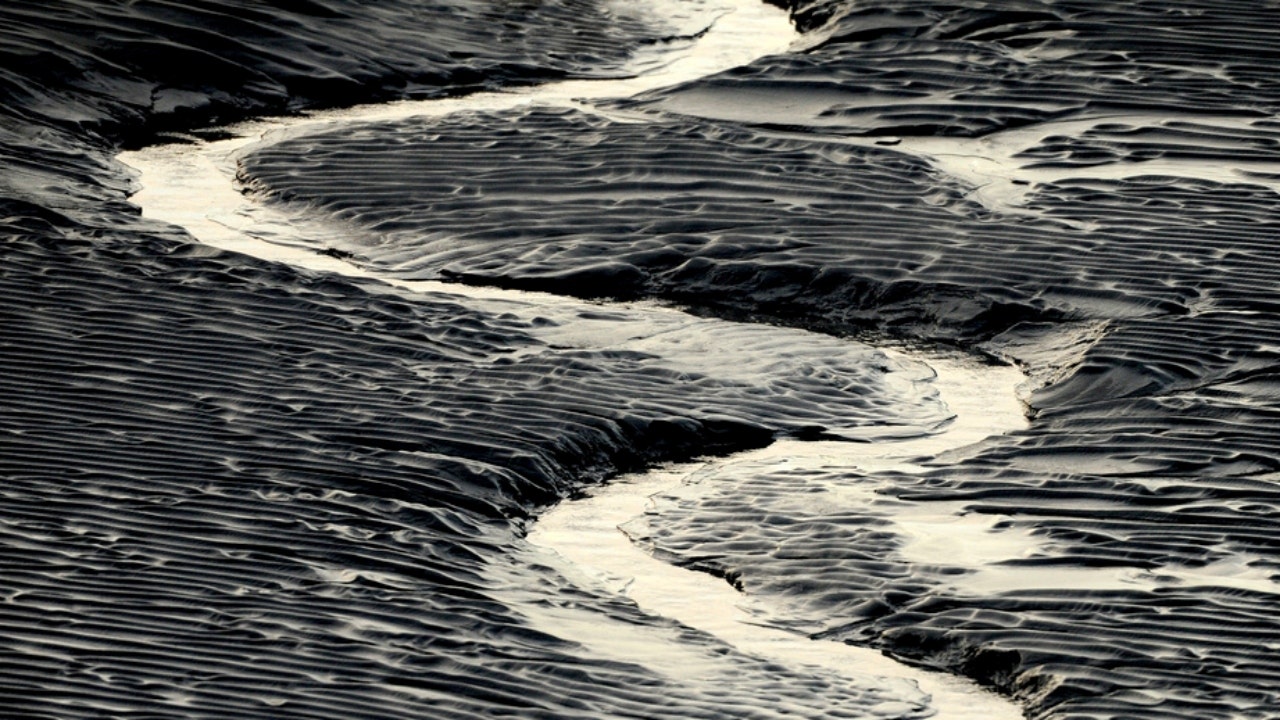 Tragic Drowning of Illinois Man in Alaska's Mud Flats.