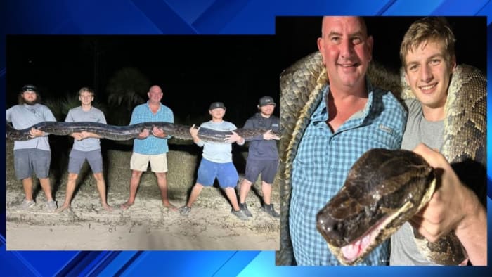 Featured image for Record-Breaking Python Hunters Capture Monstrous 198-Pound Snake in Florida